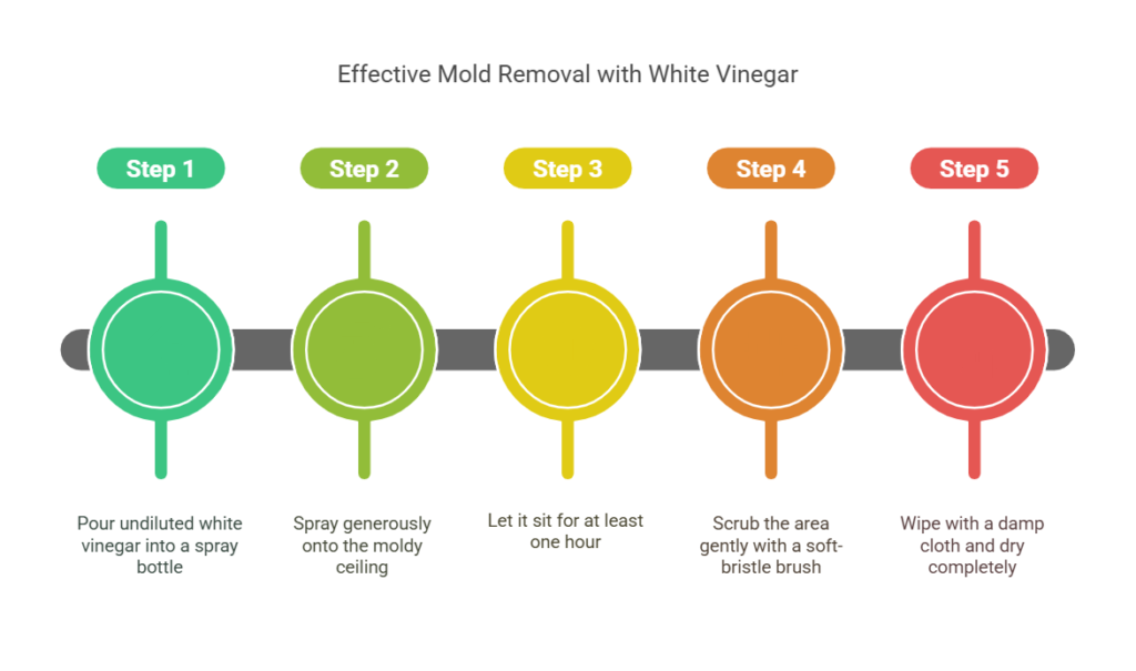 White Vinegar Solution (Natural & Non-Toxic)